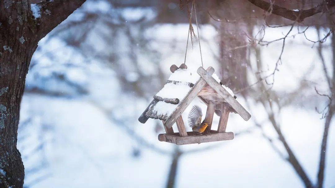 晚来天欲雪,能饮一杯无?02winter晚安,好梦~欢迎转载.