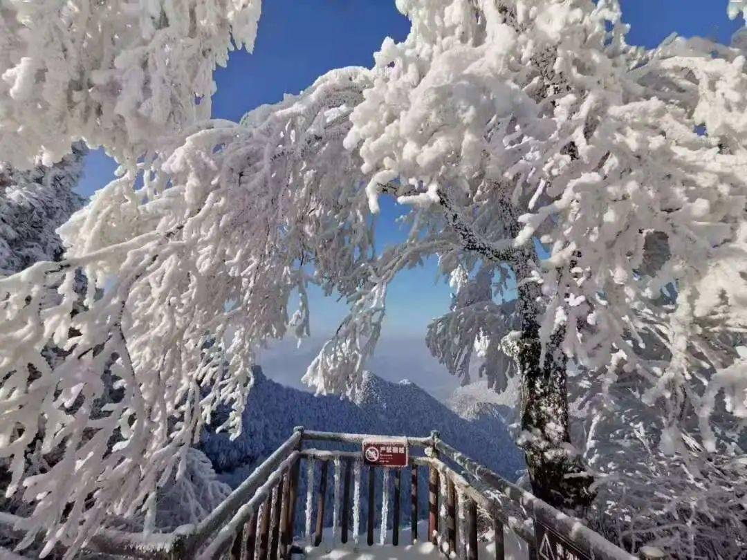 生态景观丨和丁真一样干净的还有光雾山的冰雪胜景