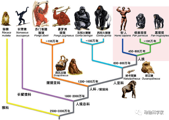f0e55c02b7b04c80bd0716456a003b6e.png