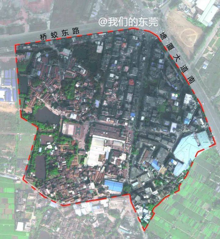 东莞塘厦人口_东莞塘厦观光公园图片