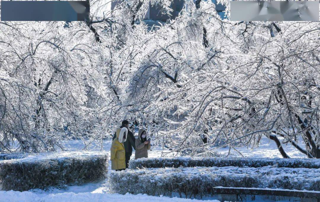 今日大雪 | 愿我心中暖,驱走你冬寒