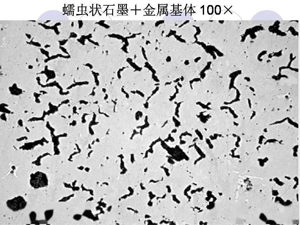 ppt球墨铸铁与蠕墨铸铁金相图谱