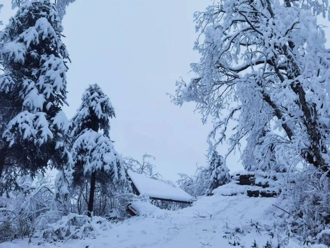 绵阳看雪就在这个踏踏.