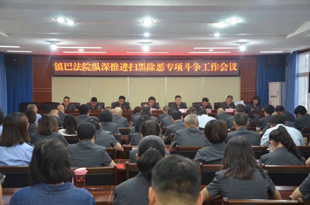 扫黑除恶|镇巴法院:充分发挥审判职能,依法惩处黑恶犯罪势力_案件