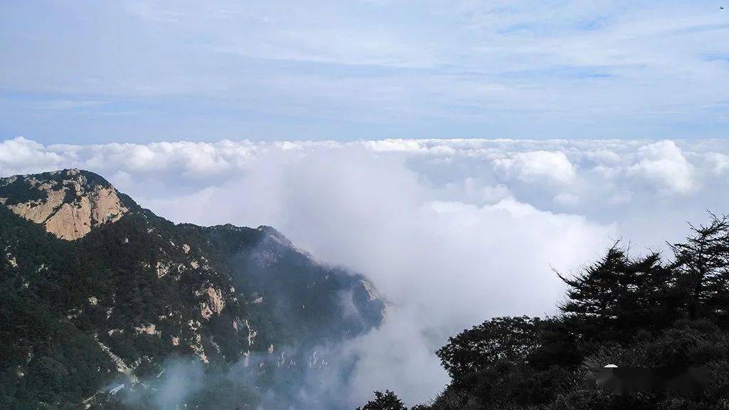 云海浮波翻涌 山水澹澹生烟_泰山