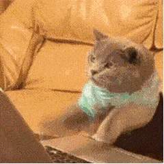 68w一桌广东这里惊现豪华婚礼直升机和数百万豪车接亲婚礼场面超震撼