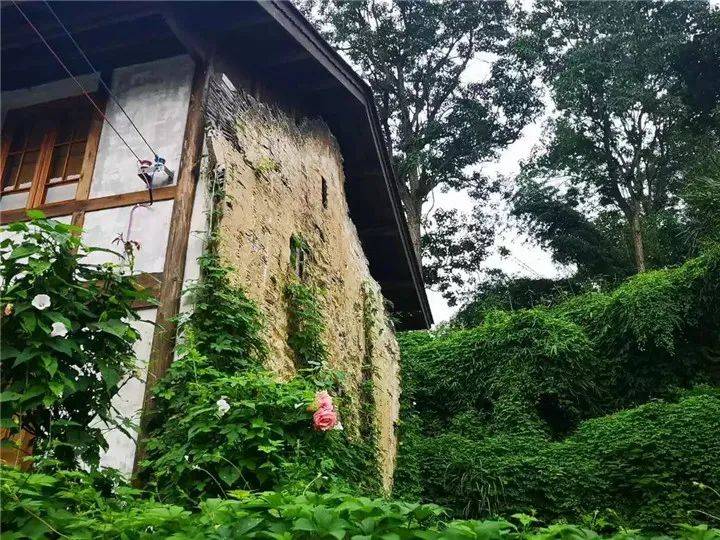 四力四全蹲点花溪区山王庙村农村三变点燃乡村旅游