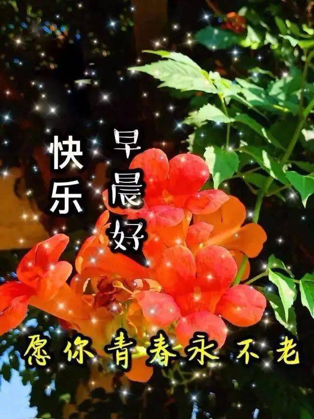 十二月份新版朋友群漂亮大家早上好动态图片 早上好动态表情图片