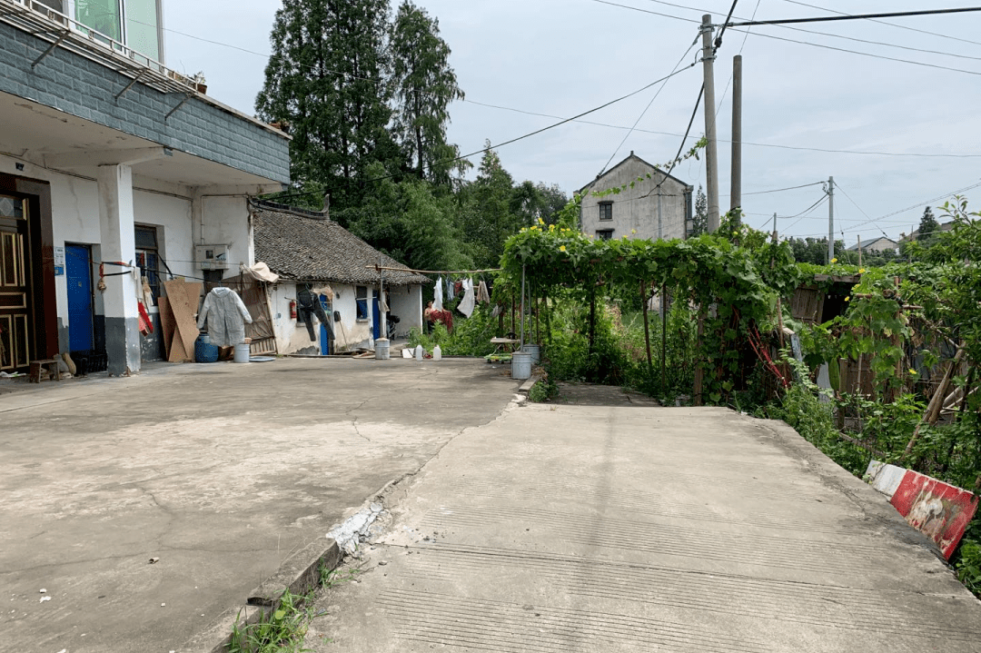 新埭镇杨庄浜村在这个市级大会上获