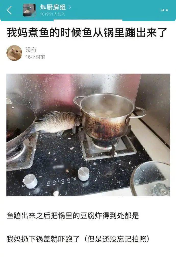 那些让人哭笑不得的厨房杀手们