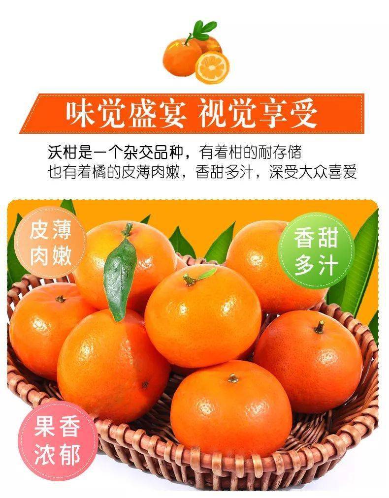【万德隆产地严选—广西武鸣沃柑】被阳光吻过的活力鲜果