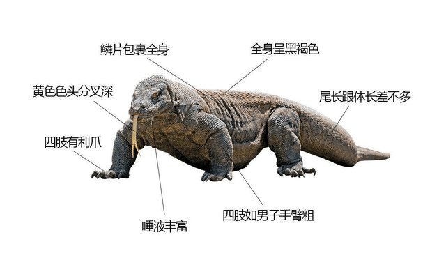 de6f6cd6a59a4ef897017cf9e0f77318.png