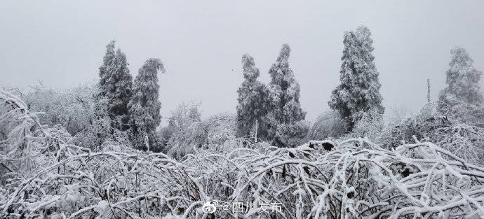 银装素裹 绵阳北川下雪啦