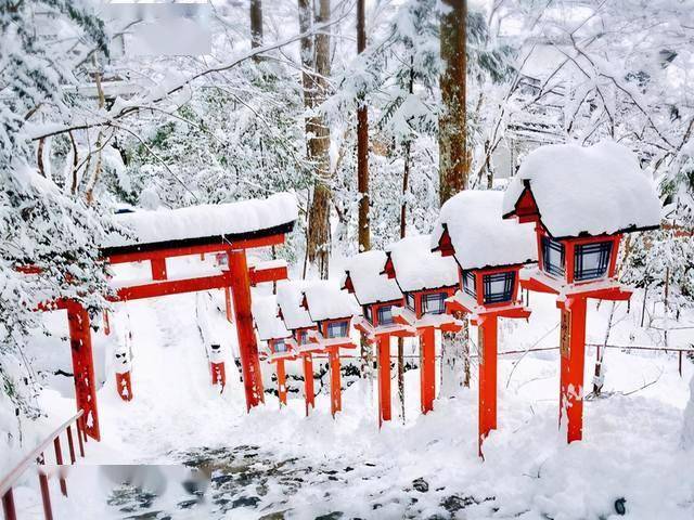 雪中的京都贵船神社神社的大红配上纯白的雪美得令人窒息