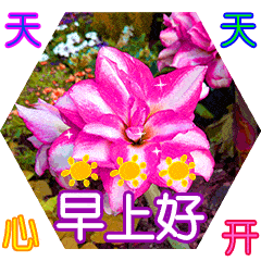 不用打字就可以聊天的图片