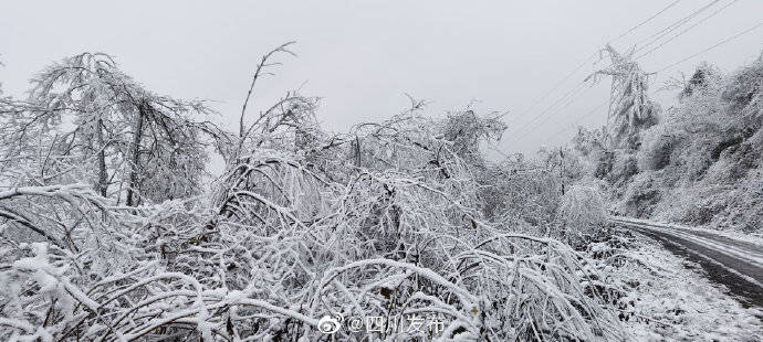 银装素裹 绵阳北川下雪啦