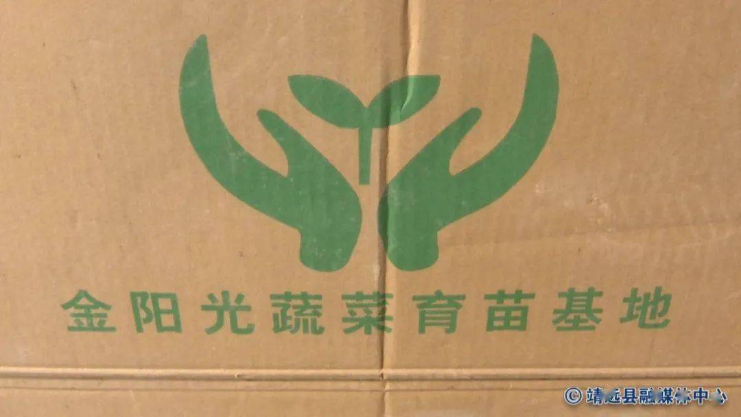 冬季大KAIYUN棚育苗忙 播种丰收新希望(图2)