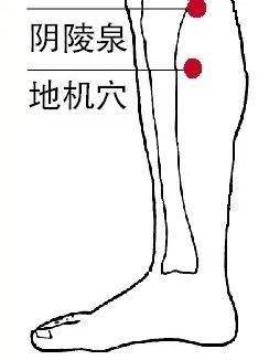 8a96a7d00c5c47c5a504895e17aadf18.jpeg