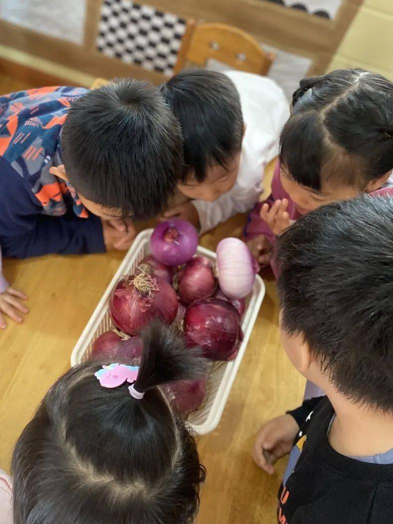 或许你也喜欢洋葱张浦中心幼儿园中9班微课程