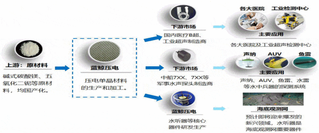 二,bluewhale 新材料——下一代超声领域革新者