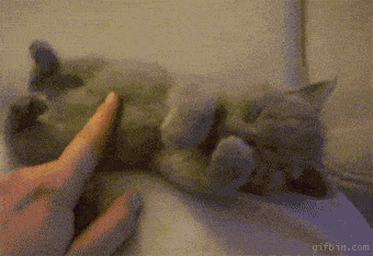 (图片来源:giphy.