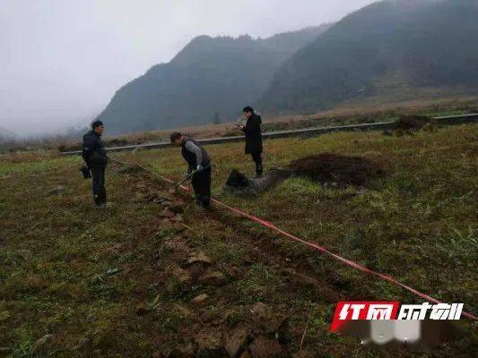 公路沿线所涉及到的龙山县水田坝乡,茨岩塘镇,茅坪乡等地的山间地头