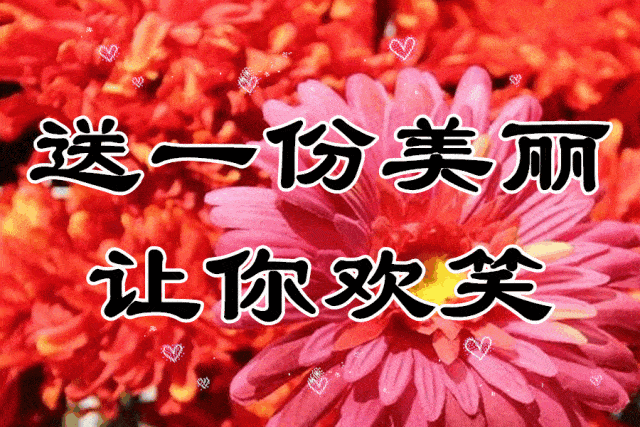 早上好,一首《 知音 》太美了,我想你了,送给真正懂我