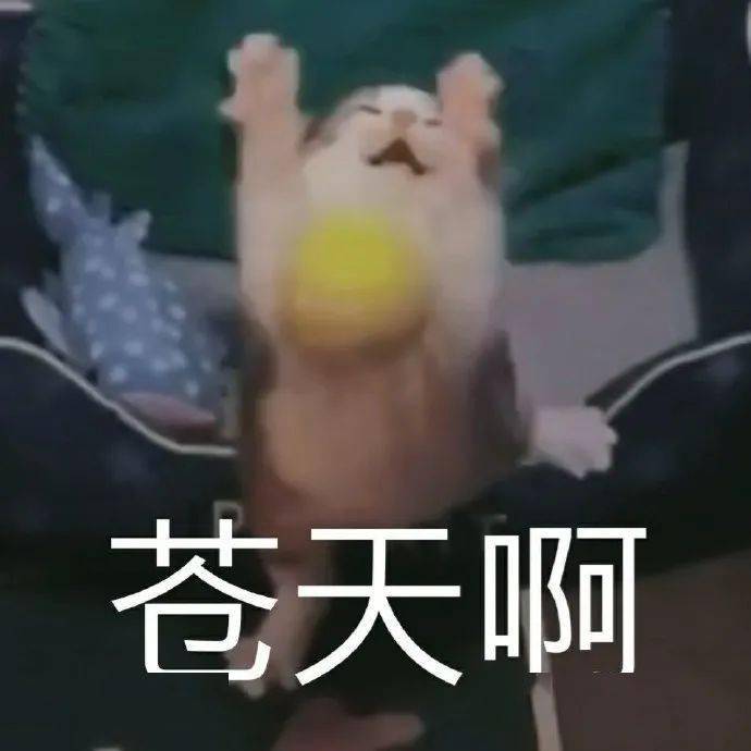 8a46baaaa38843d5920cef0e64905480.jpeg