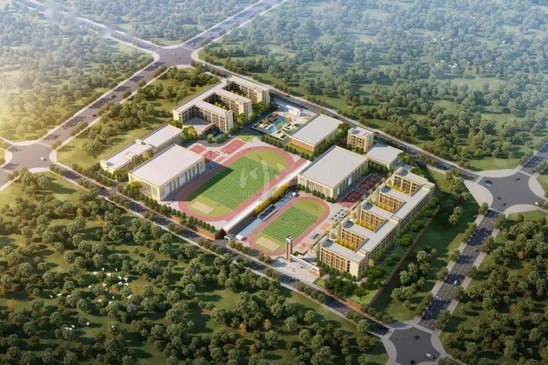 大岩山小学,沱江新城中学 还有泸师附小城南学校 都有新消息了 近段