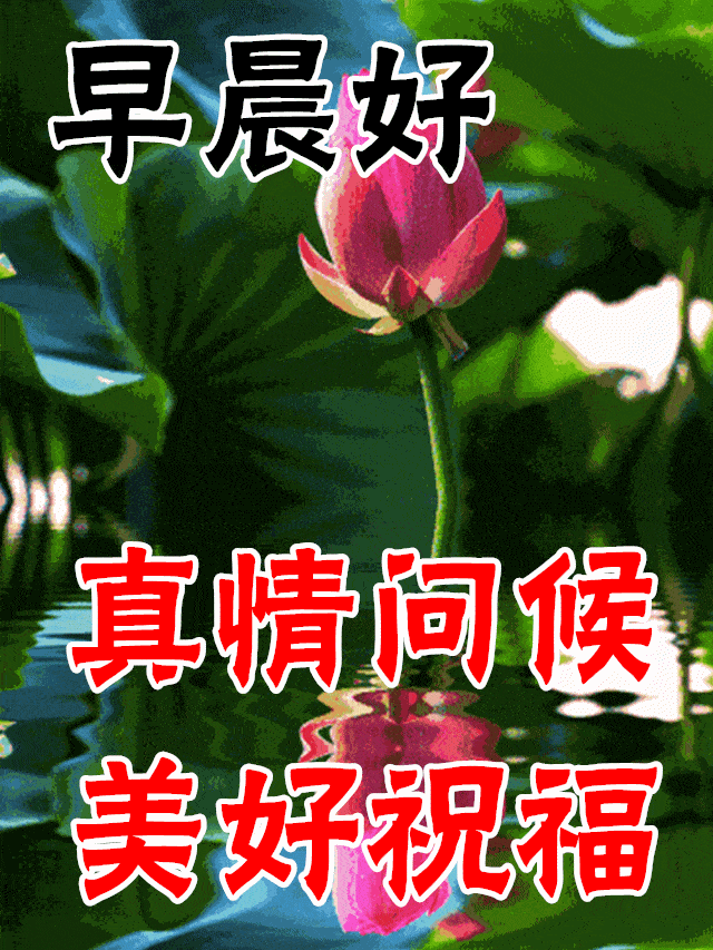 12月12日最漂亮动态表情图片大全