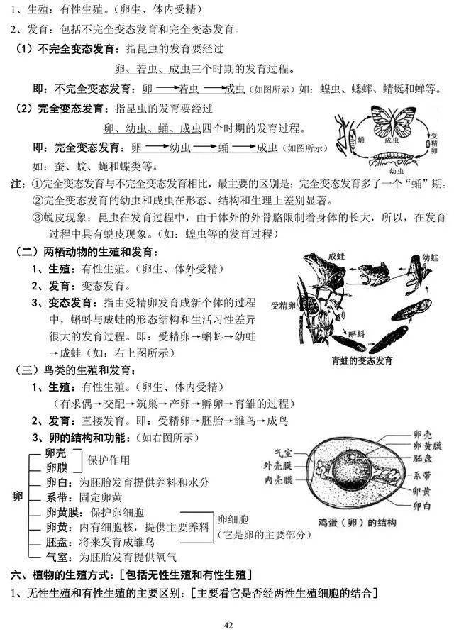 中考生物详解复习知识大全初中生复习必备