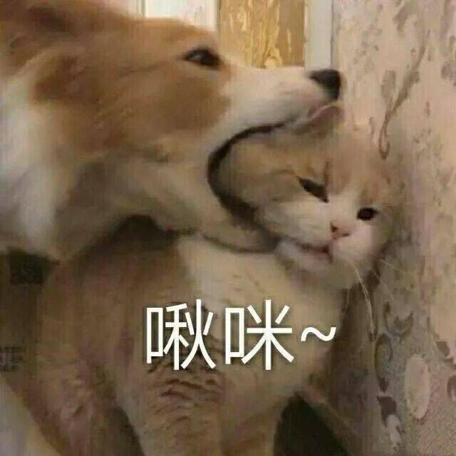 c10ab331383b4d20af2225ebf94b6e3b.jpeg