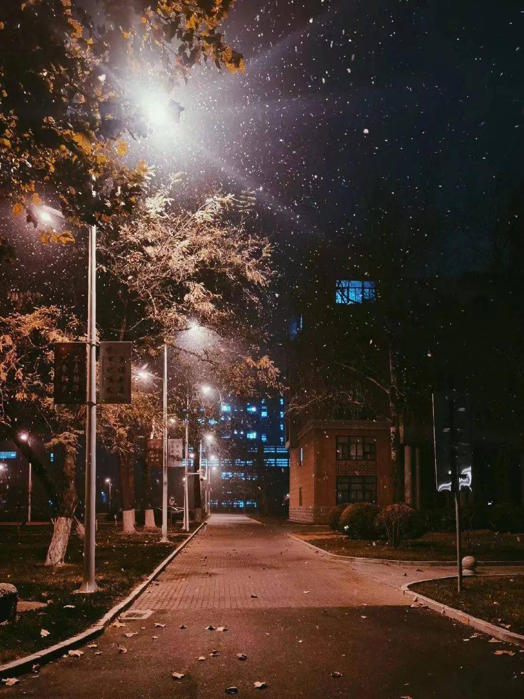 好开心,天津昨夜真的下雪了!未来还有好消息!