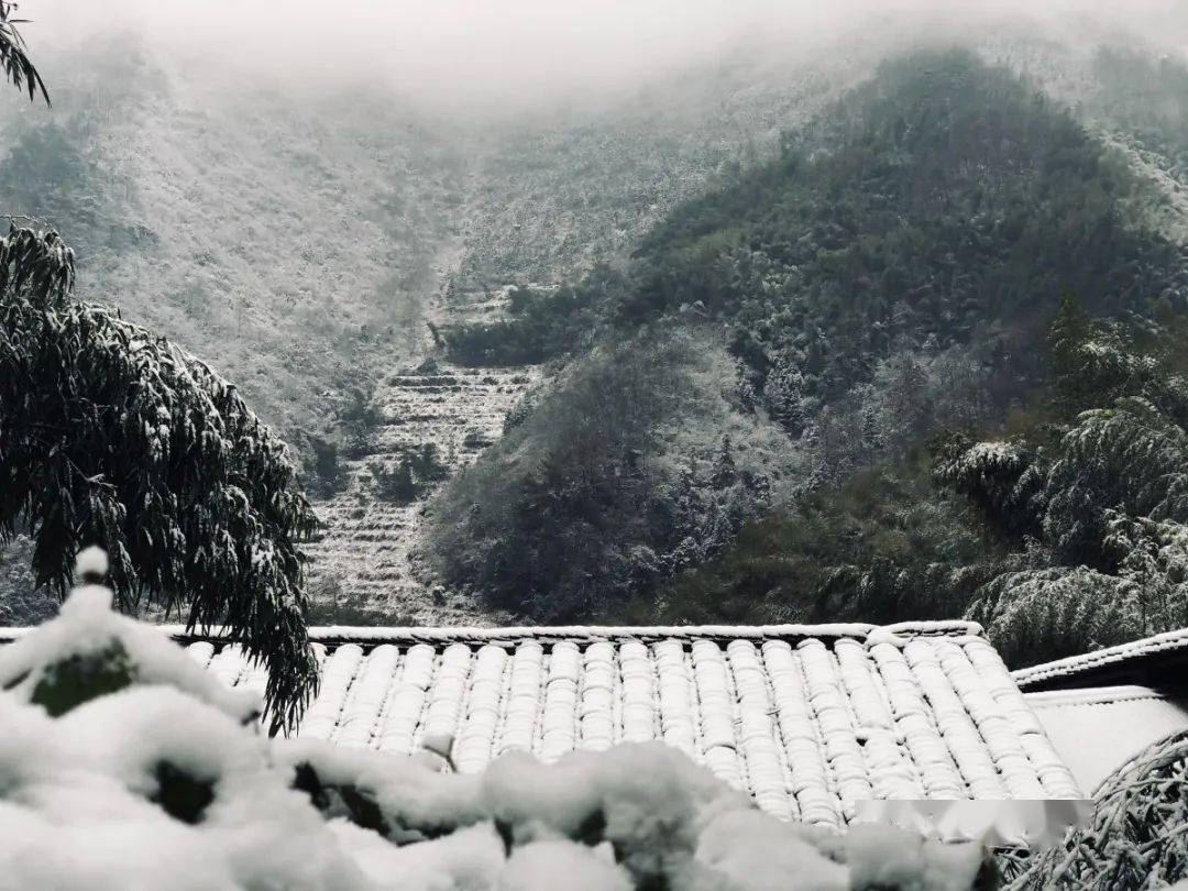 指南村 桐庐县 昨天气温骤降,桐庐山区降下今冬第一场雪.