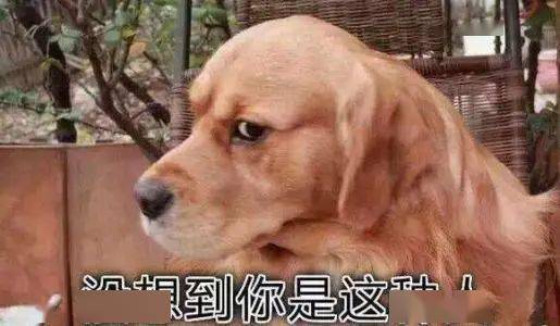 76a645a1670f44abbb9f6f8ede605188.jpeg