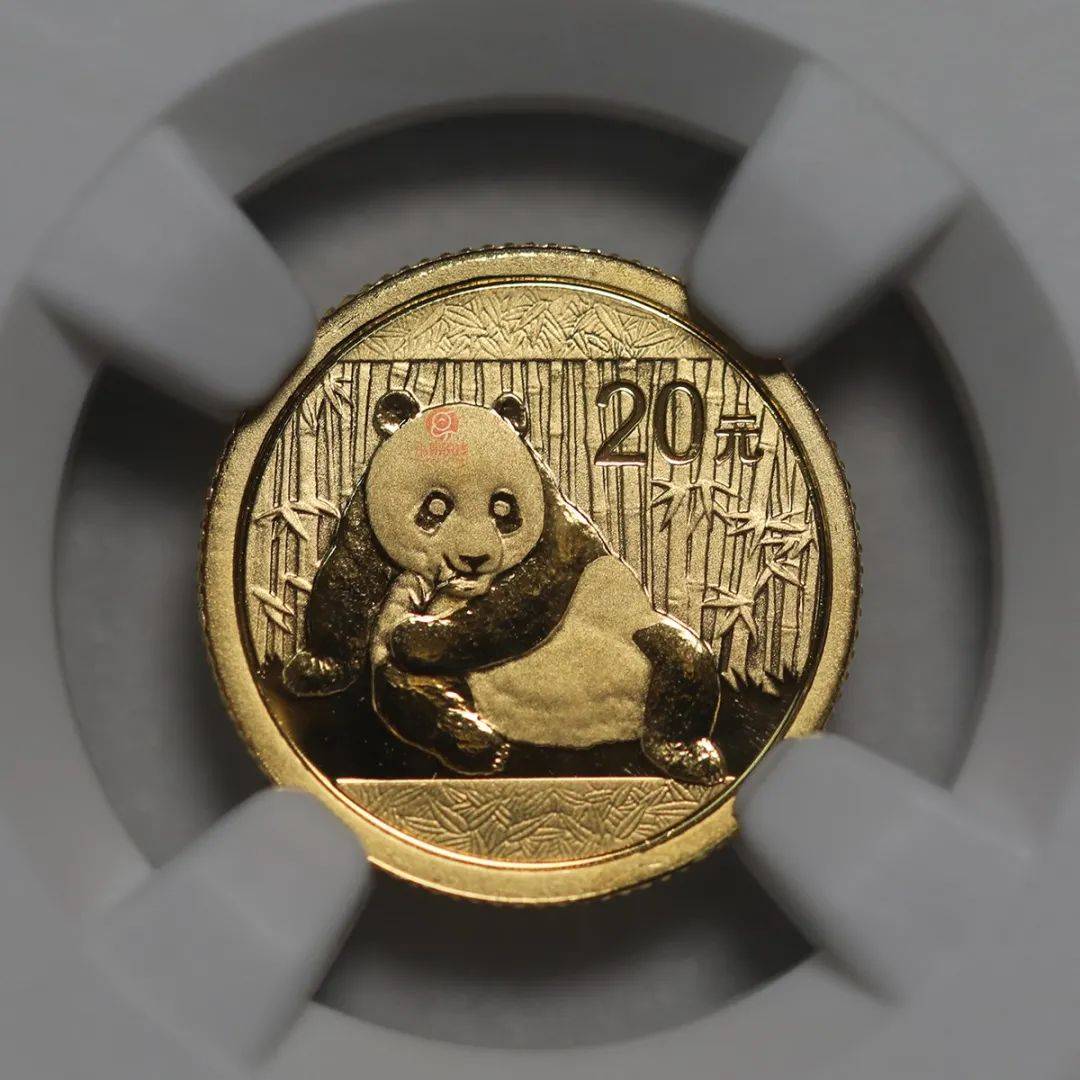 投资熊猫币是骗局吗