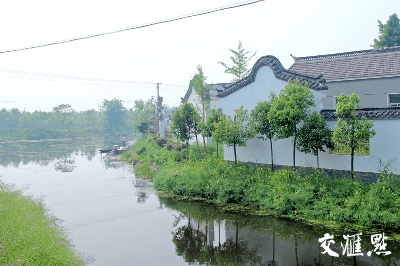 今年,大纵湖湖区资源开发公司加大支共建力度,他们发挥倪杨村地理位置