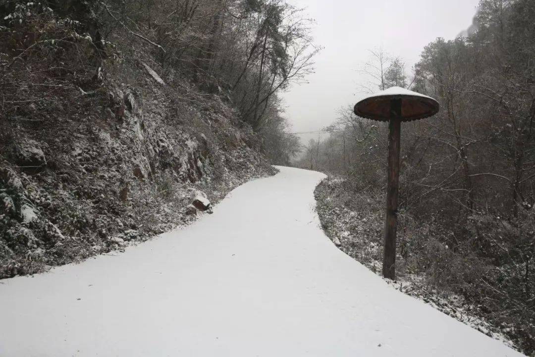 真下雪了!宜昌这地今早最低气温-12