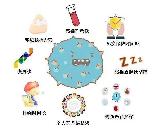 诺如病毒的传播方式