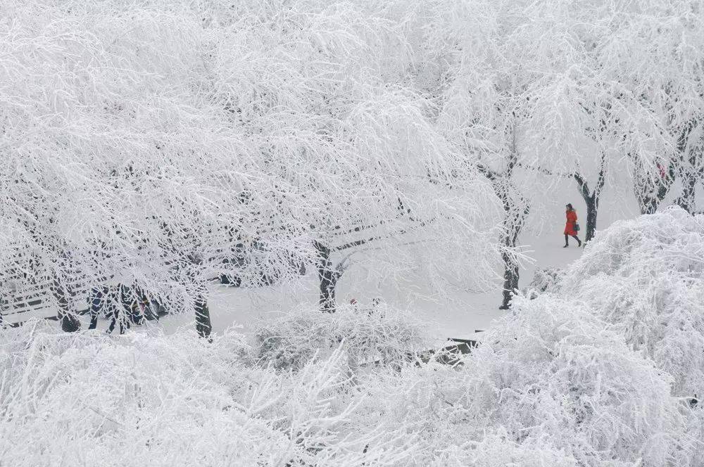 一下雪,庐山就成了童话镇!