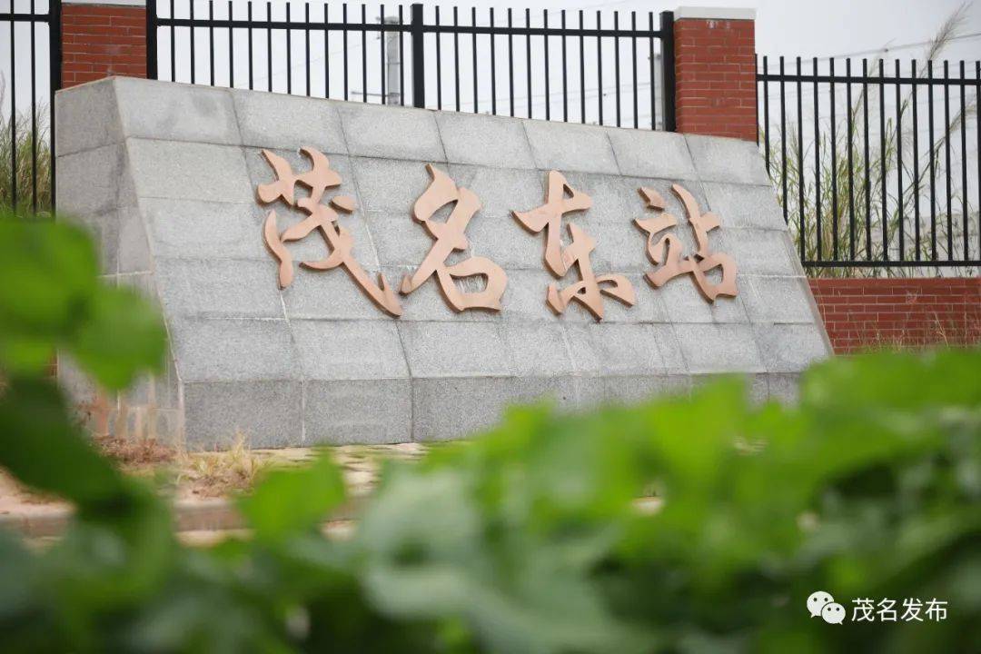 茂名2021年gdp_茂名2020年徒步线路图