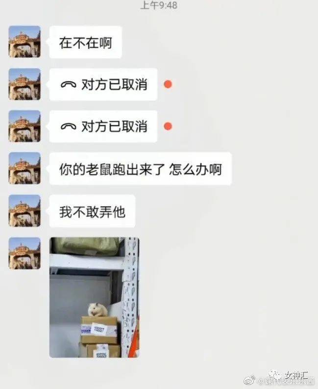 6657a11cb96a4b7fb800e672fe28d64b.jpeg