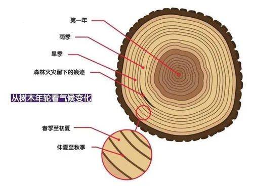 变化|震惊，一年竟有424天！