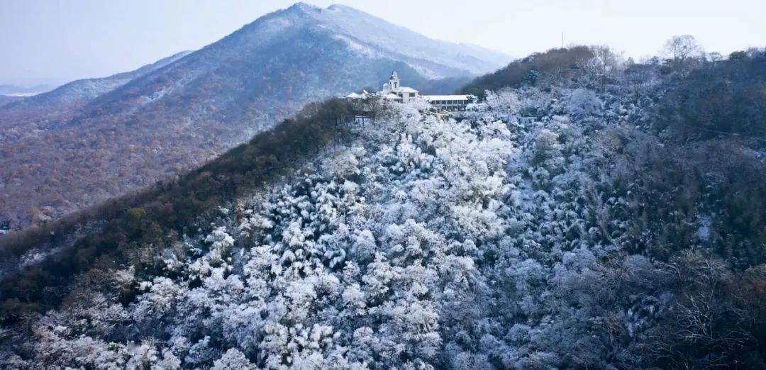 雪后的紫金山,美若仙境!