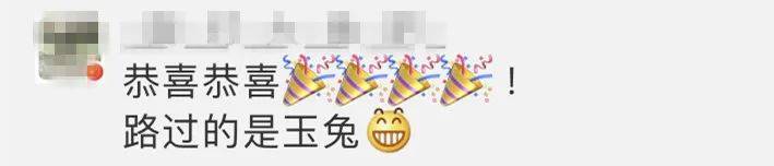 轨道交会|嫦娥五号回家！万万没想到，第一个“找”到它的居然是……