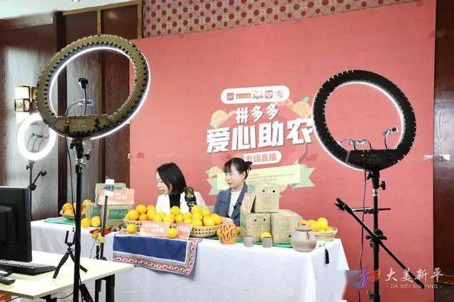 “本相·中国牛”运营方新平鸿亚涉嫌传销被罚没