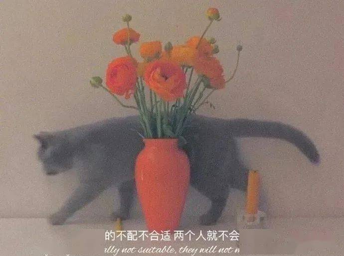 子什么孙成语
