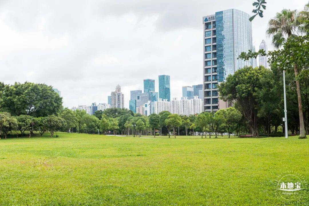 深圳福田区旅游景点汇总来啦!大多好玩不要钱!_公园