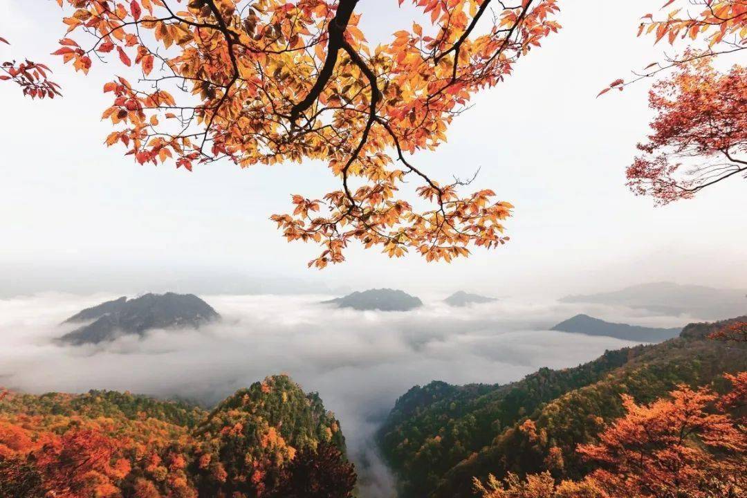 喜报光雾山旅游景区拟升5a级