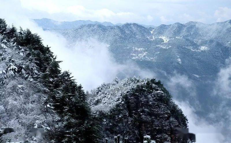 【一带一路美丽乡村】听,成县鸡峰山雪落下的声音